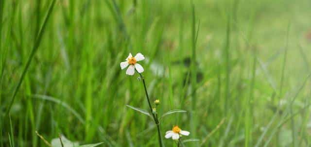 拉黑删除你的人，对你的感情最深，也放不下！