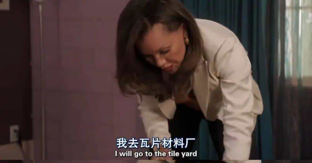 英语高级词汇：adobe