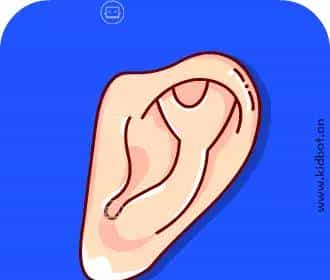 看图学英语又快又简单 so easy - 宋马