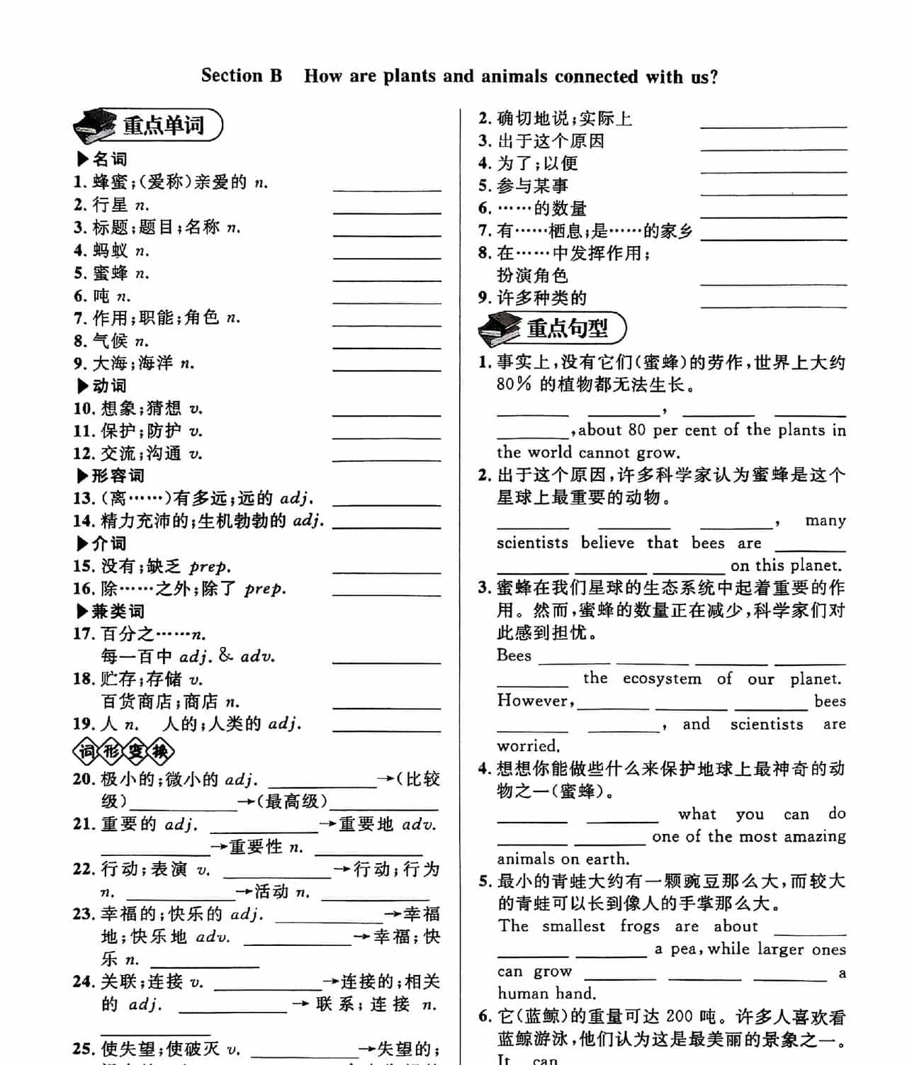 八年级上册英语Unit4单词、短语、句型练习题(附答案)! - 宋马