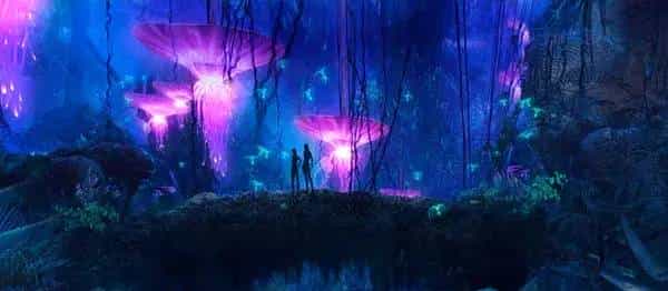 第503天的第503部电影:《阿凡达》