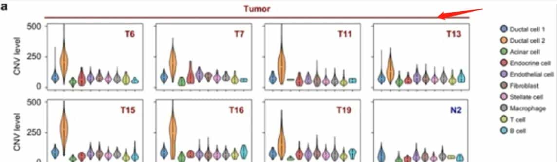 单细胞CNV分析——inferCNV 结果再挖