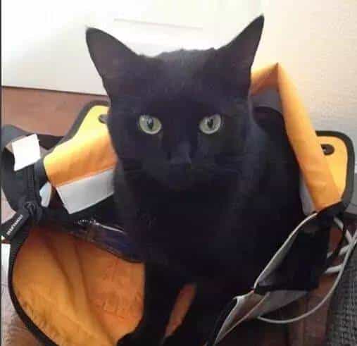 【轻松阅读】博士生的日常之真人真事版...