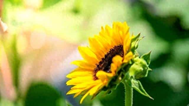 兄弟姐妹翻脸后出现3种情况别硬和解