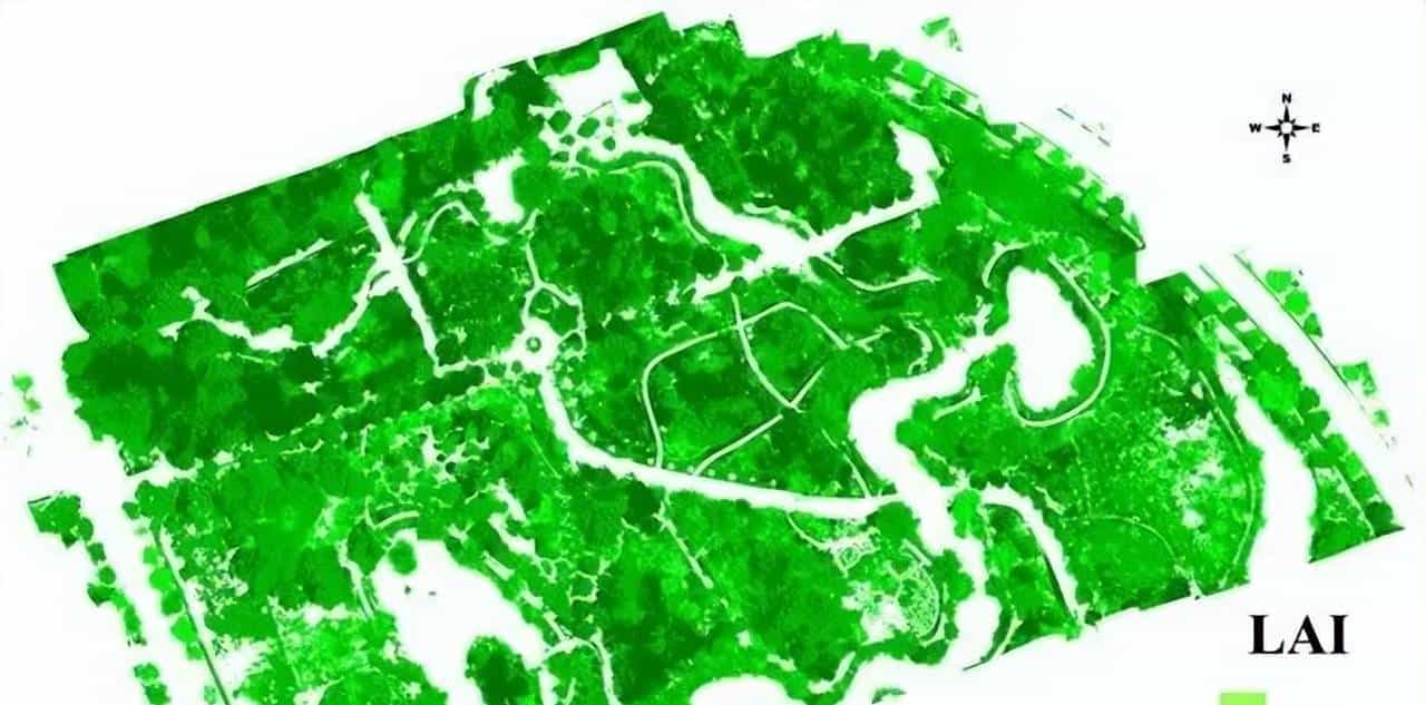 高光谱遥感如何在森林中实现精准培育？