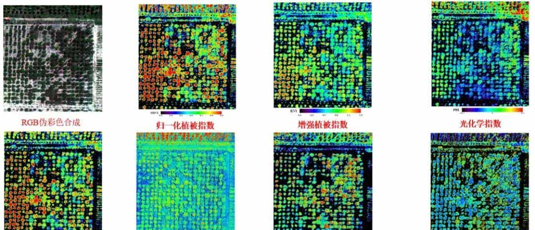 高光谱遥感如何在森林中实现精准培育？