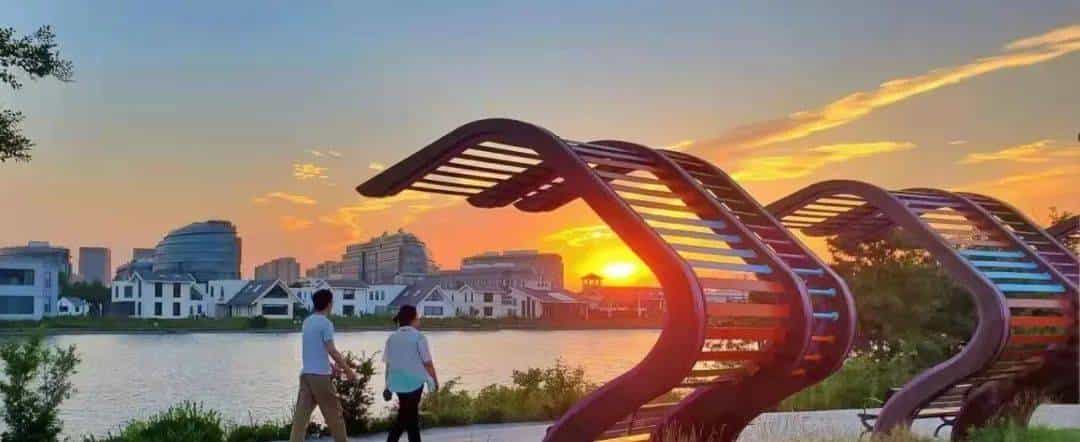 双语丨Incredible! 从“盐碱荒滩”到“科创高地” 青岛高新区是如何做到的？