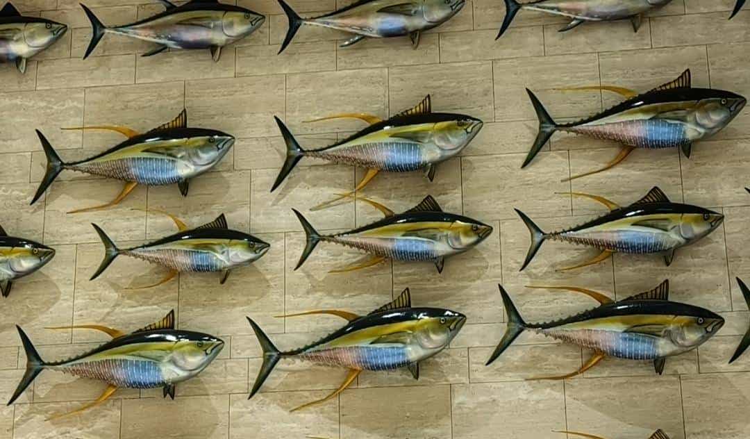 跨过山和大海，耐力谁最哇塞？