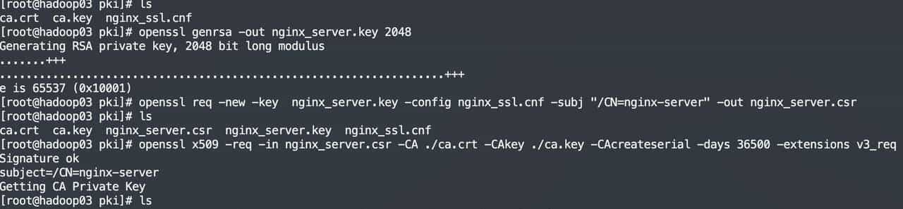 制作自签名CA根证书并颁发应用证书