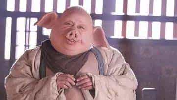 “八戒”那些个不为人知的事儿~