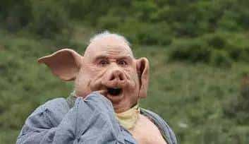 “八戒”那些个不为人知的事儿~