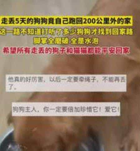 跨过山和大海，耐力谁最哇塞？