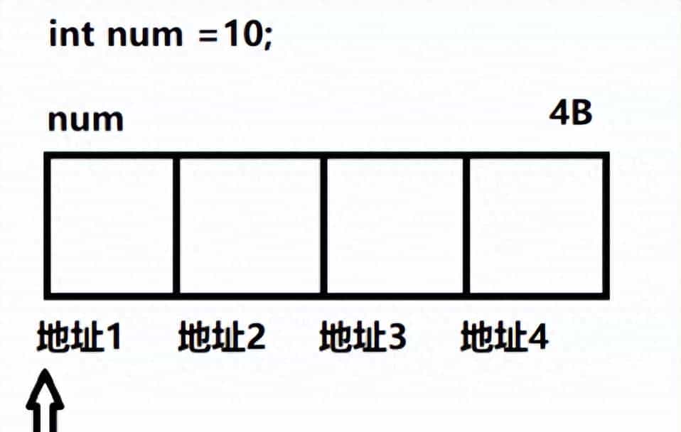 C语言基础之指针