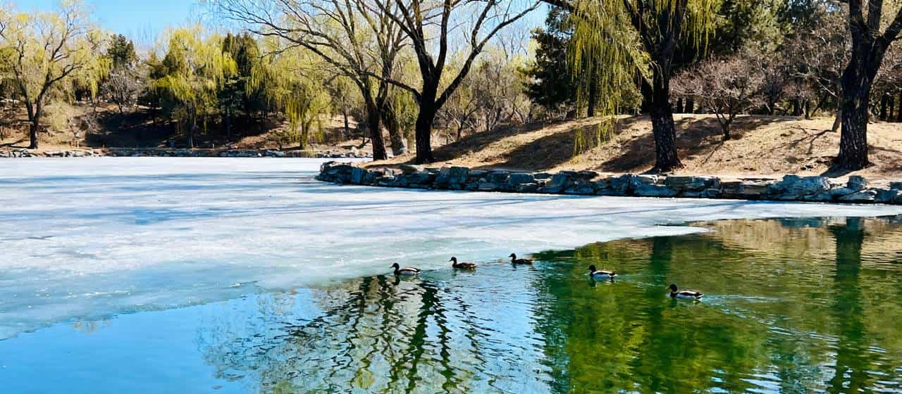 为啥许多微头条不用标点符号了？从打字机到AI：回车键的前世今生