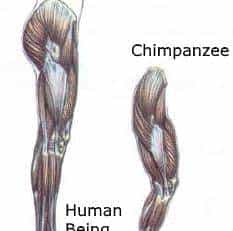 跨过山和大海，耐力谁最哇塞？