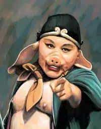 “八戒”那些个不为人知的事儿~