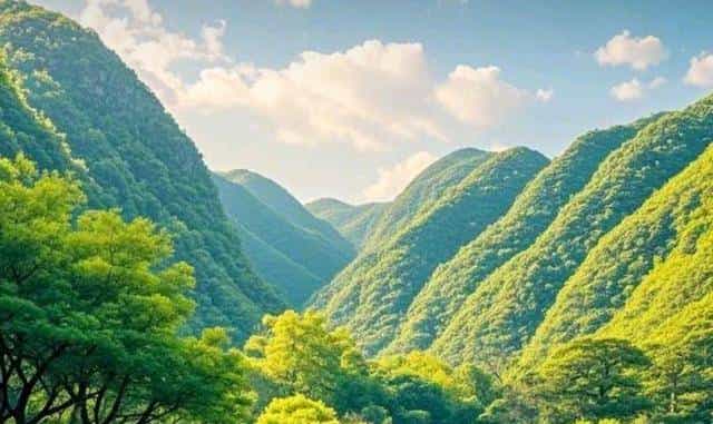 2026必看！属鸡的速做3件事，实打实攒好运，不瞎等！