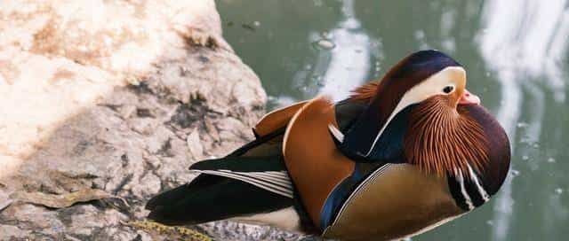 实则，当男人不在乎你时，机智的你只需做好这一点！