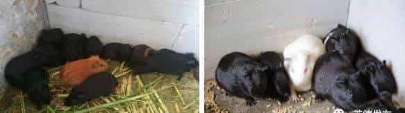 牢记嘱托丨英德如何学习贯彻习总书记视察广东重大讲话精神？市委书记吴耿淡对媒体这样说……