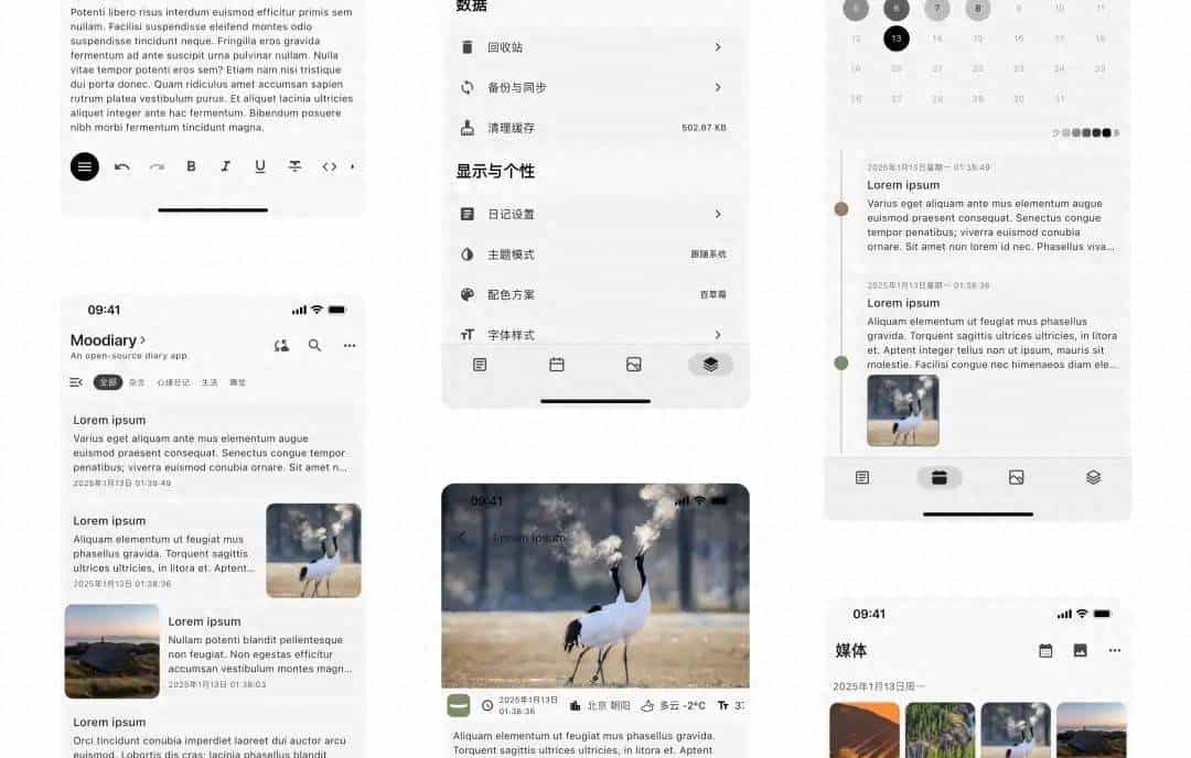 【推荐】 Flutter 与 Rust 构建的完全开源跨平台日记应用