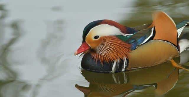 实则，当男人不在乎你时，机智的你只需做好这一点！