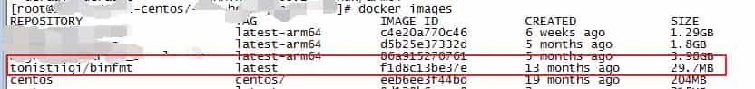 docker 运行的报错:standard_init_linux.go:211: exec user process caused "exec format error"