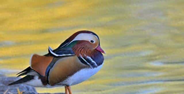 其实，当男人不在乎你时，聪明的你只需做好这一点！