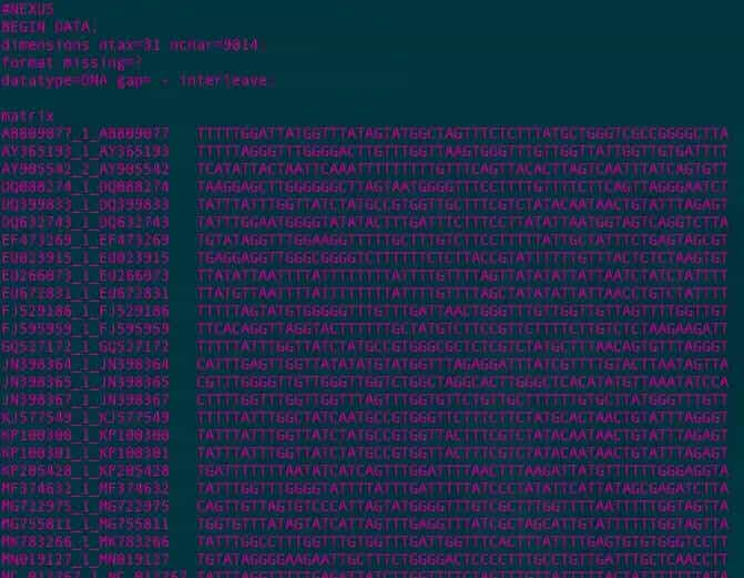 linux版本mrbayes和iqtree跑多基因树