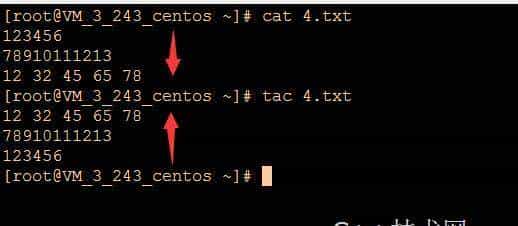 Linux的常用Shell命令新手入门：文件查看2