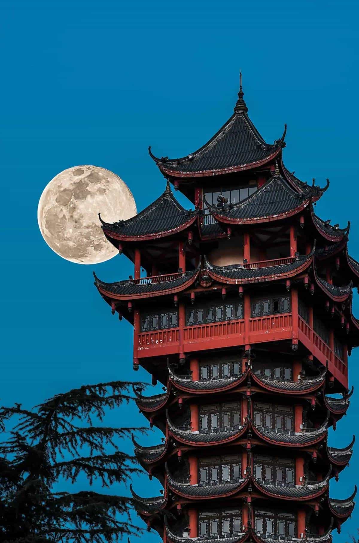 宋词300首（232）苍梧谣·天.蔡伸