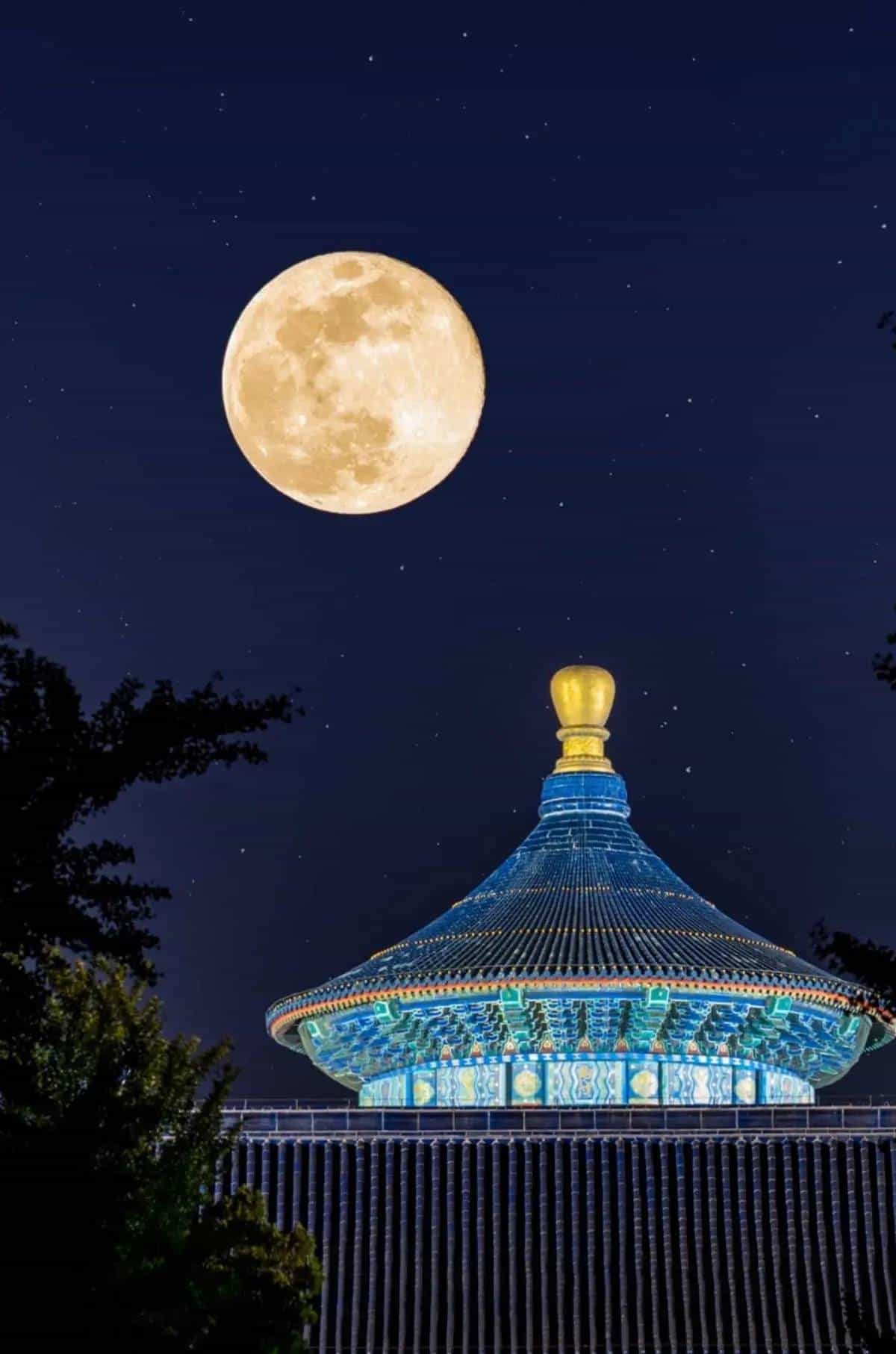 宋词300首（232）苍梧谣·天.蔡伸