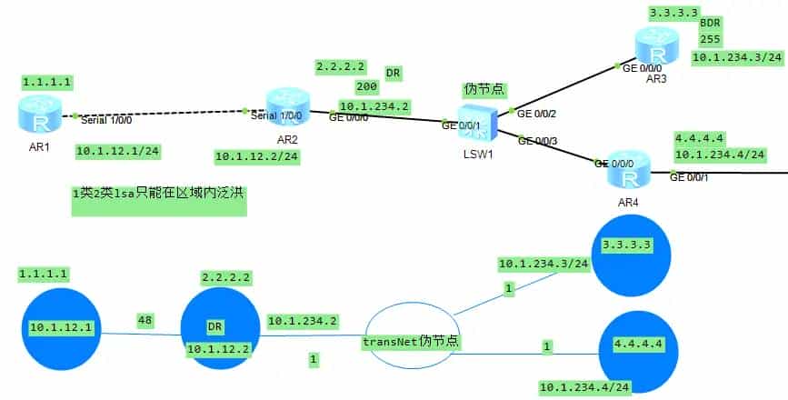 【HCIP】2OSPF协议-2.7OSPF的链路状态信息（2类LSA）