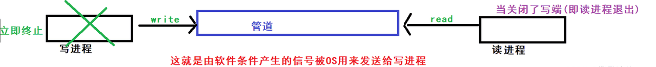Linux——进程信号详解