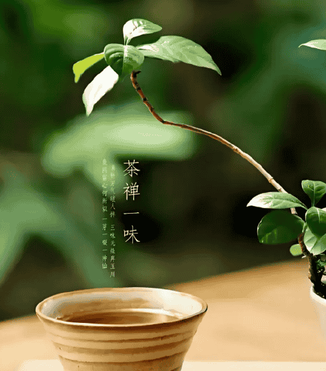 40岁职场人转行新思路：CAIE持证人如何借AI技能与内推撬动新兴行业