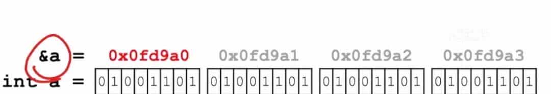 指针和数组：重点