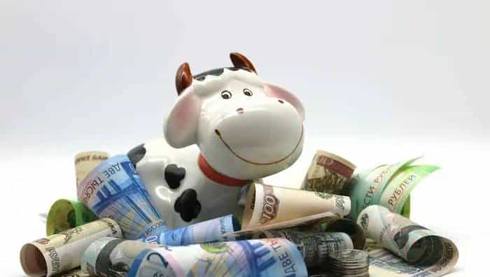cash  cow   摇钱树