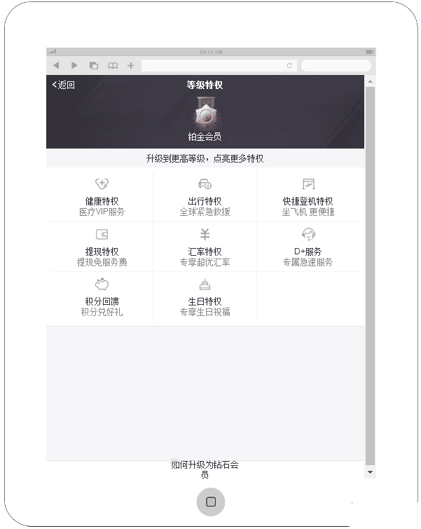 仿支付宝会员等级特权手机页面模板源码 - 宋马