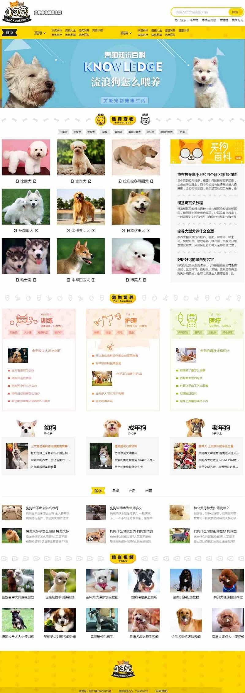 92kaifa仿《小可爱宠物网》宠物资讯平台源码下载（采集+手机版）