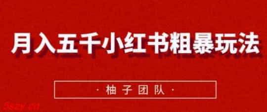 WY0035 月入五千小红书粗暴赚钱玩法，适合上班族的赚钱副业【视频课程】 - 宋马