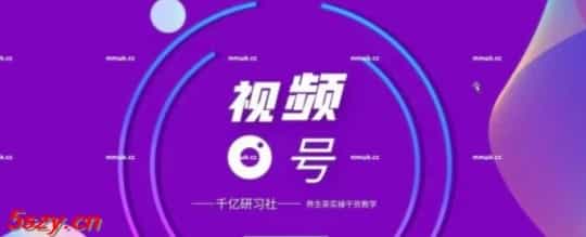 WY0042 视频号带货实战教程：手把手教你撸养生茶，轻松月入10W+【视频课程】 - 宋马