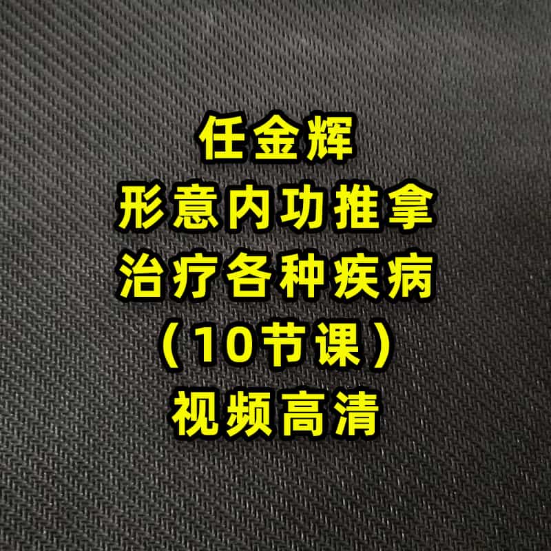 任金辉老师形意内功推拿各种疾病 高清视频教程10节课 医弘馆 - 宋马