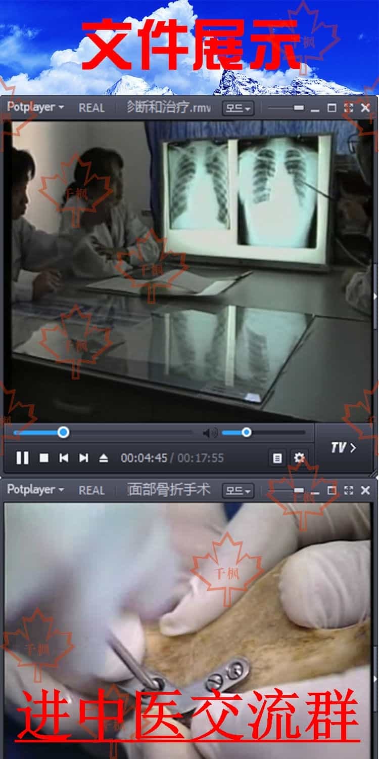 卫生部医学视听教材体格检查普通高等学校教育临床综合视频教程