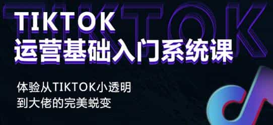 Tiktok实操进阶课程，体验从tiktok小透明到大佬的完美蜕变[视频版] - 宋马