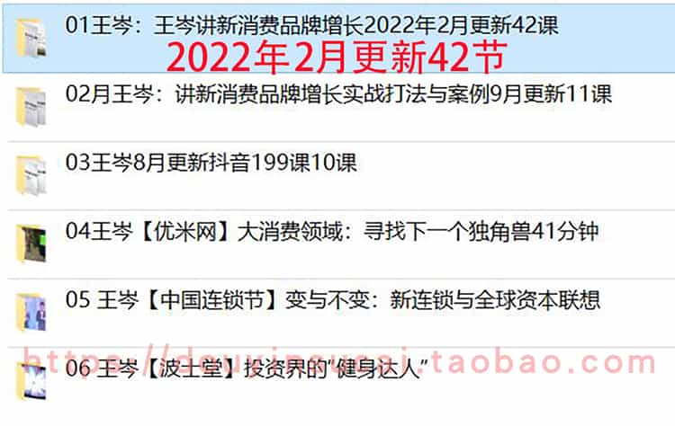 2022抖音王岑课程消费王讲新消费品牌增长实战打法与案例王岑网程