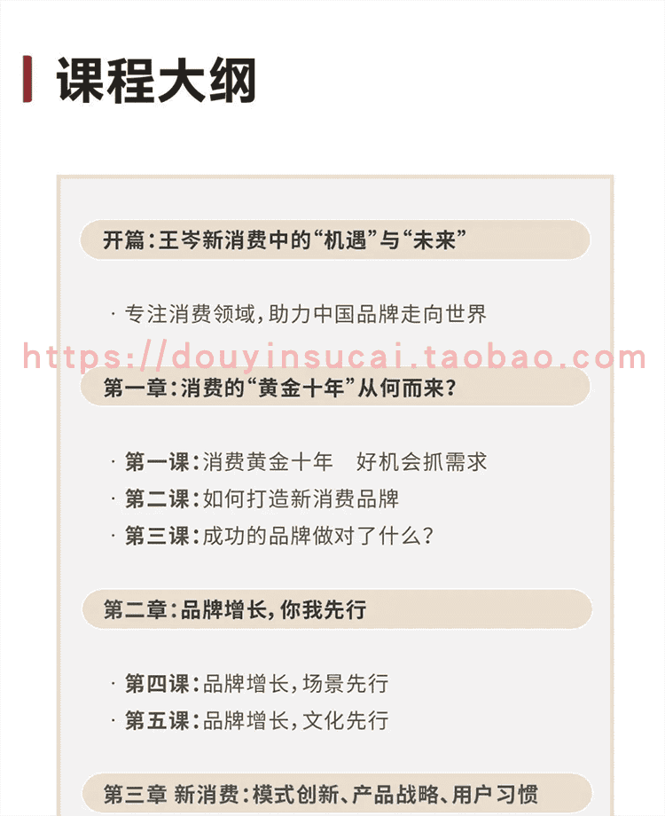 2022抖音王岑课程消费王讲新消费品牌增长实战打法与案例王岑网程
