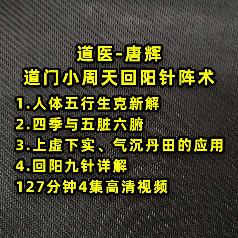 道医唐辉道门小周天回阳针阵术 4集高清视频上虚下实气沉丹田应用 - 宋马