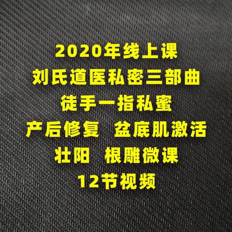 2020年道医徒手一指私蜜产后修复盆底肌激活壮Y根雕微课12节视频 - 宋马