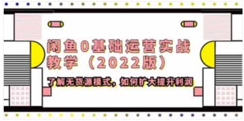 2022版《闲鱼0基础运营实战教学》了解无货源模式，如何提升利润 - 宋马