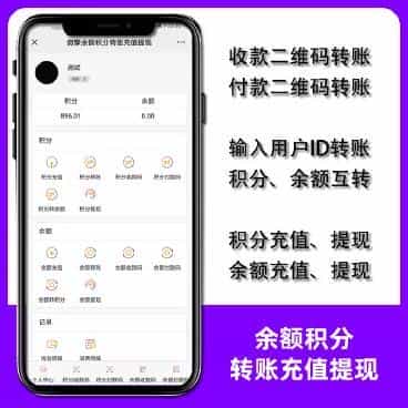 余额积分转账充值提现v1.1.21最新版源码店主亲测可用 - 宋马