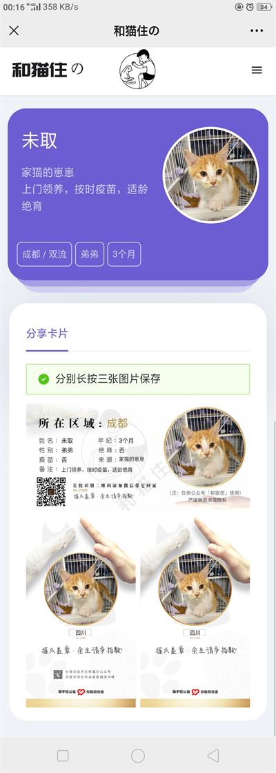 Thinkphp5内核流浪猫流浪狗宠物领养平台H5源码 - 宋马